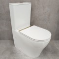Унитаз Bloomix Barron 3.0 AD3091T/UF3gold безободковый торнадо