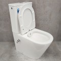 Унитаз Bloomix Salchow AD3093SB/UF1 Ceramic+ безободковый с функцией биде и смесителем