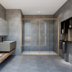 Душевая дверь Vincea Garda VDS-1G2170CLG