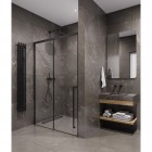 Душевая дверь Timo TDSS-120/03C-8L