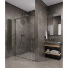 Душевая дверь Timo TDSS-120/13C-8L