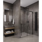 Душевая дверь Timo TDSS-150/03C-8R