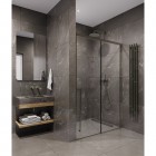 Душевая дверь Timo TDSS-150/13C-8R