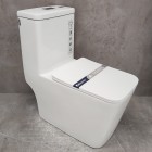 Унитаз Bloomix Mono MD2322R/UF3 моноблок безободковый