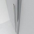 Душевая дверь Ambassador Intense 110021105IX