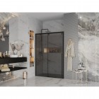 Душевая дверь Ambassador Intense 110022203IBB