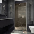 Душевая дверь MaybahGlass MGD-441-5
