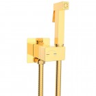 Смеситель с гигиеническим душем встраиваемый WeltWasser Higi Q01 GL