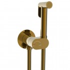 Смеситель с гигиеническим душем встраиваемый WeltWasser Higi R01 BR