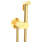 Смеситель с гигиеническим душем встраиваемый WeltWasser Higi R01 GL