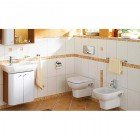 Унитаз VitrA Retro 5160B003 подвесной