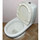 Цветной унитаз Style бежевый